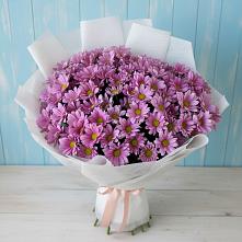 Букет цветов из:  Хризантемы в Эдельбае