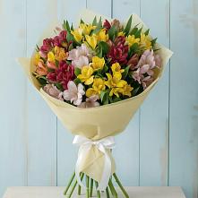 Букет цветов из:  Альстромерии #REPLACE_PRED# Эдельбае